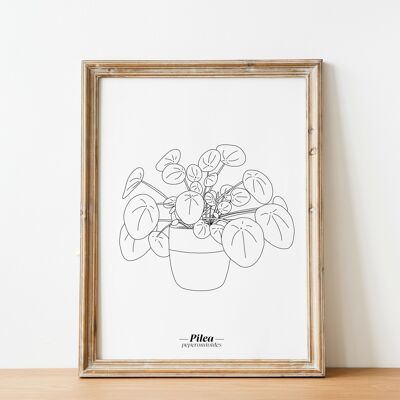 Affiche Pilea - Papier A5 / A4 / A3