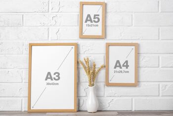 Affiche Pilea - Papier A5 / A4 / A3 3