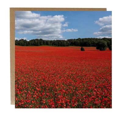 Poppy field greeting card
