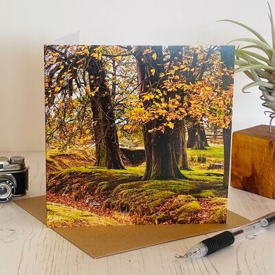 Herbstliche Waldgrußkarte - Alltagsgrußkarte