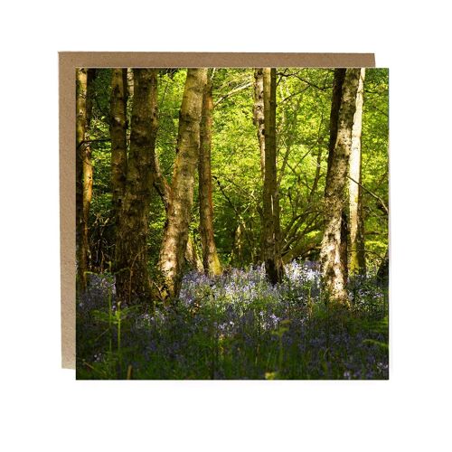 Bluebell Woodland greeting  card