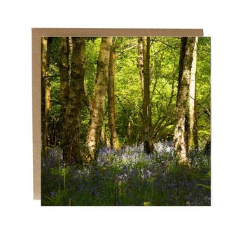 Carte de vœux Bluebell Woodland