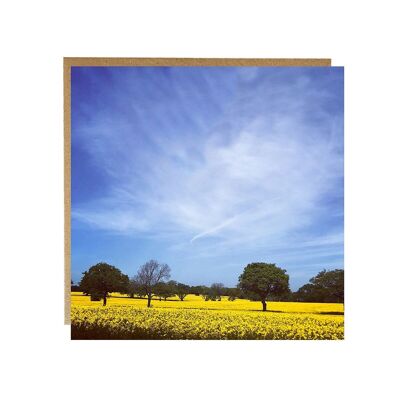 English fields in summer time greeting card - landscape greeting card