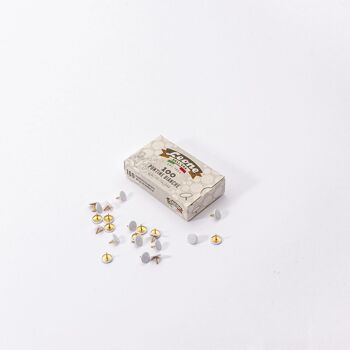 🇫🇷 Punaises en métal (boîte de 100) · 🇬🇧 Metallic push pins (box of 100) 18