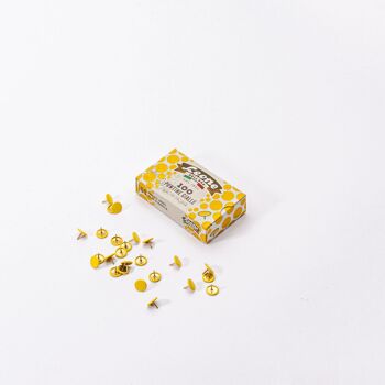 🇫🇷 Punaises en métal (boîte de 100) · 🇬🇧 Metallic push pins (box of 100) 23