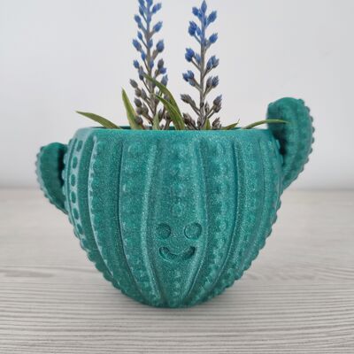 Happy cactus pot - Home and garden decoration - 3DRoots