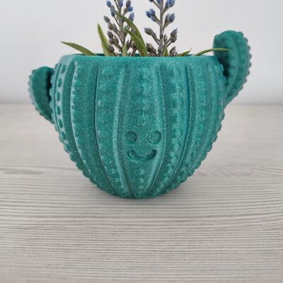Happy cactus pot - Home and garden decoration - 3DRoots