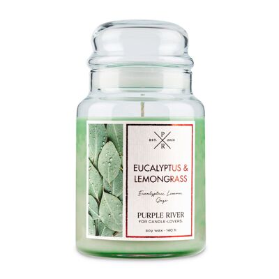 Eucalyptus & Lemongrass scented candle - 623g