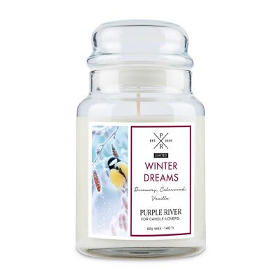 Scented candle Winter Dreams - 623g