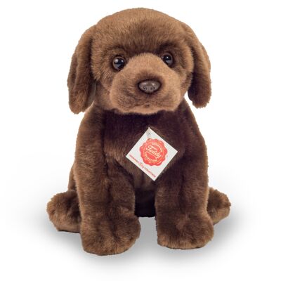 Labrador sitting dark brown 25 cm - plush toy - stuffed animal