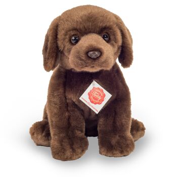 Labrador assis marron foncé 25 cm - peluche - peluche 1