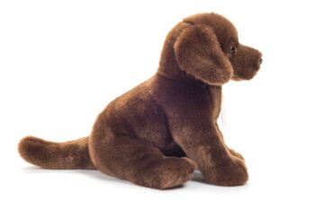 Labrador assis marron foncé 25 cm - peluche - peluche 4