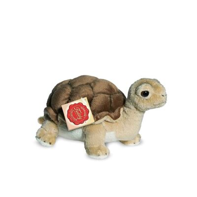 Turtle 20 cm - plush toy - stuffed animal