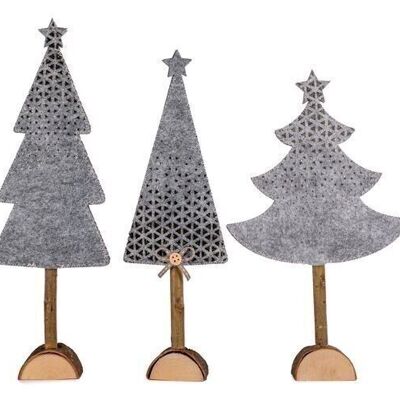 Sapin 3 sortes. UE 18, 26 cm