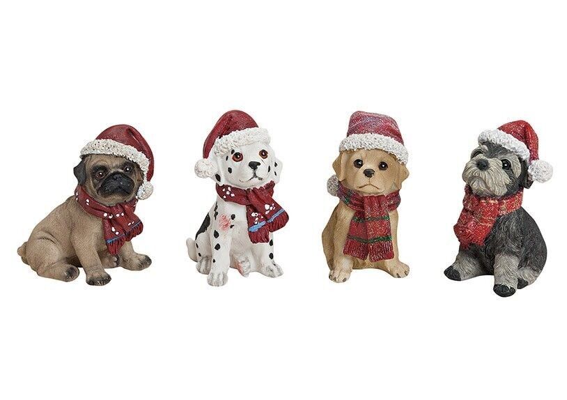 Hund sitzend mit Weihnachtsmütze