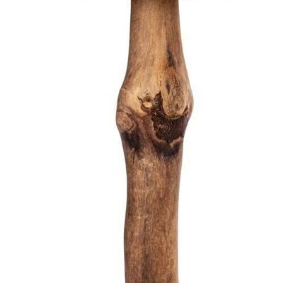 Seta 21 cm VE 12