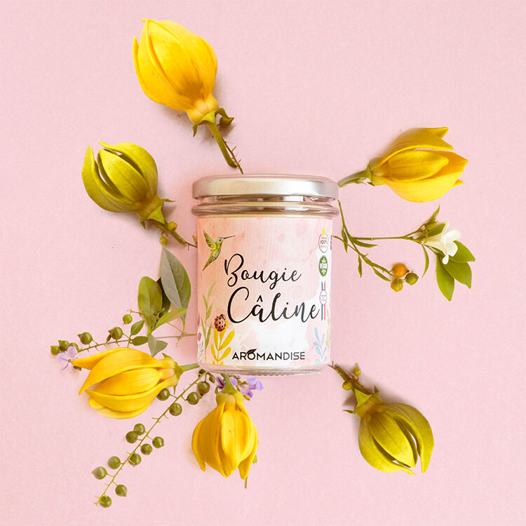 Cuddly Candle - Aromandise