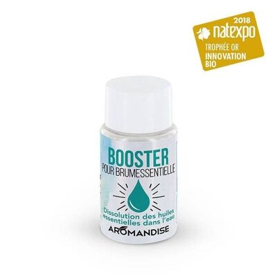 Essential oil booster for fogger