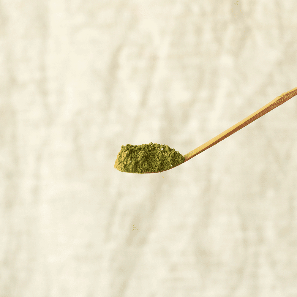 Bamboo Matcha Spoon Chashaku - Aromandise