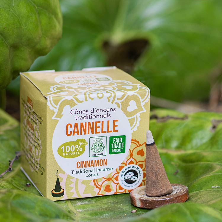 High Tradition Cinnamon Incense Cones - Aromandise