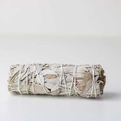 Tresse de Sauge blanche de Californie