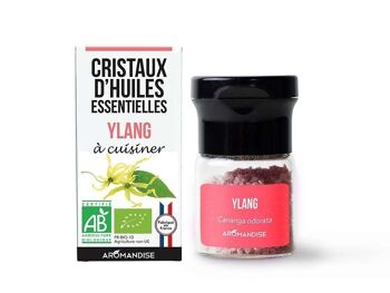 Cristaux d'huiles essentielles ylang 2