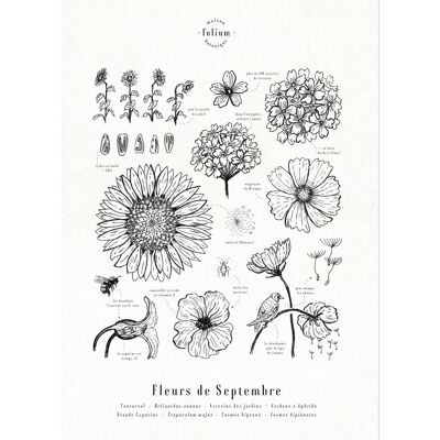 Affiche · Fleurs de Septembre