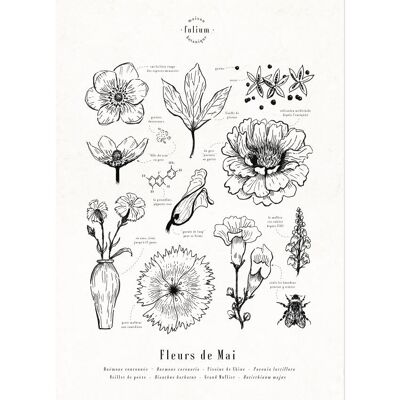 Affiche · Fleurs de Mai