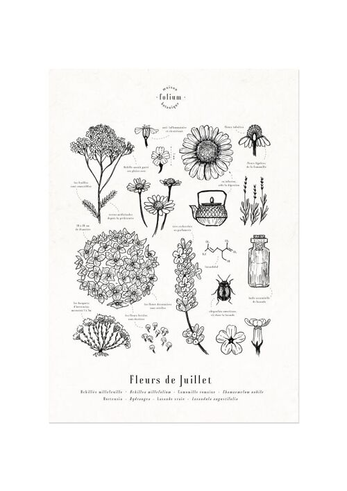 Affiche · Fleurs de Juillet