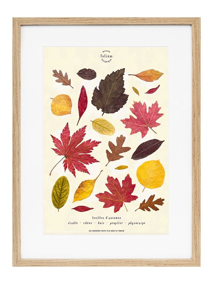 Nr. 58 · Herbstblätter