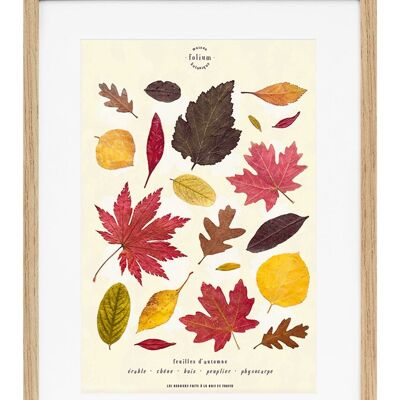 n°58 · Autumn leaves