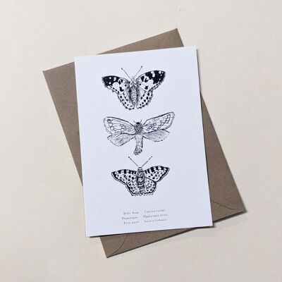 Butterflies Card