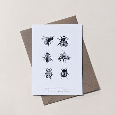 Carte Insectes