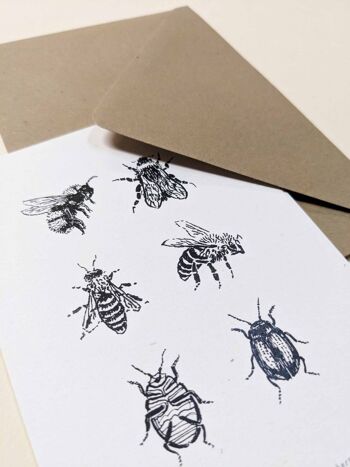 Carte Insectes 2