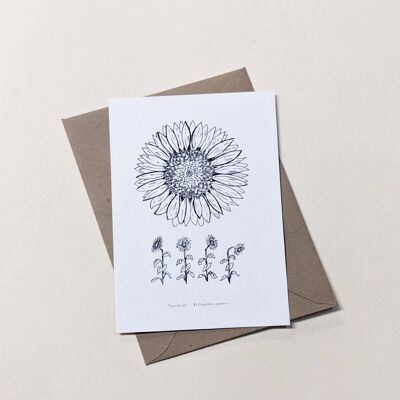 Sunflower Card