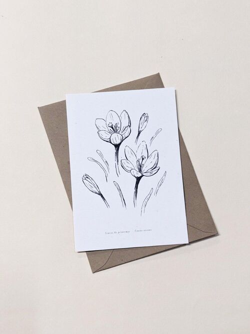 Carte Crocus