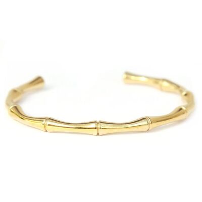 Golden bangle bamboo