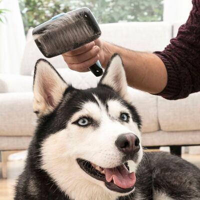 Cepillo de Limpieza para Mascotas con Púas Retráctiles Groombot InnovaGoods