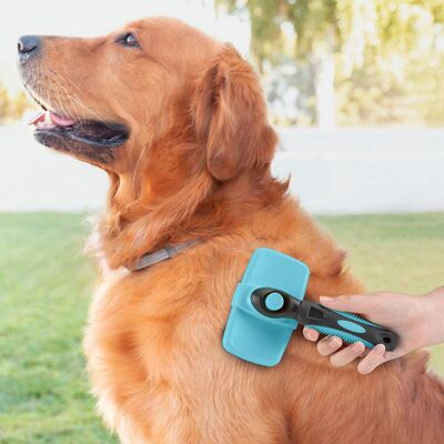 Groombot InnovaGoods Reinigungsbürste für Haustiere mit einziehbaren Spikes