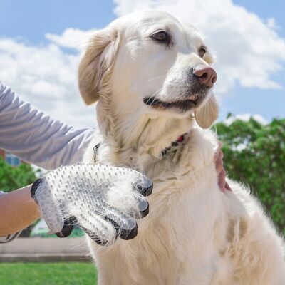 Handschuh zum Bürsten und Massieren von Haustieren Relpet InnovaGoods