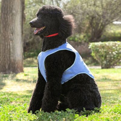InnovaGoods Cooling Vest for Medium Pets - M