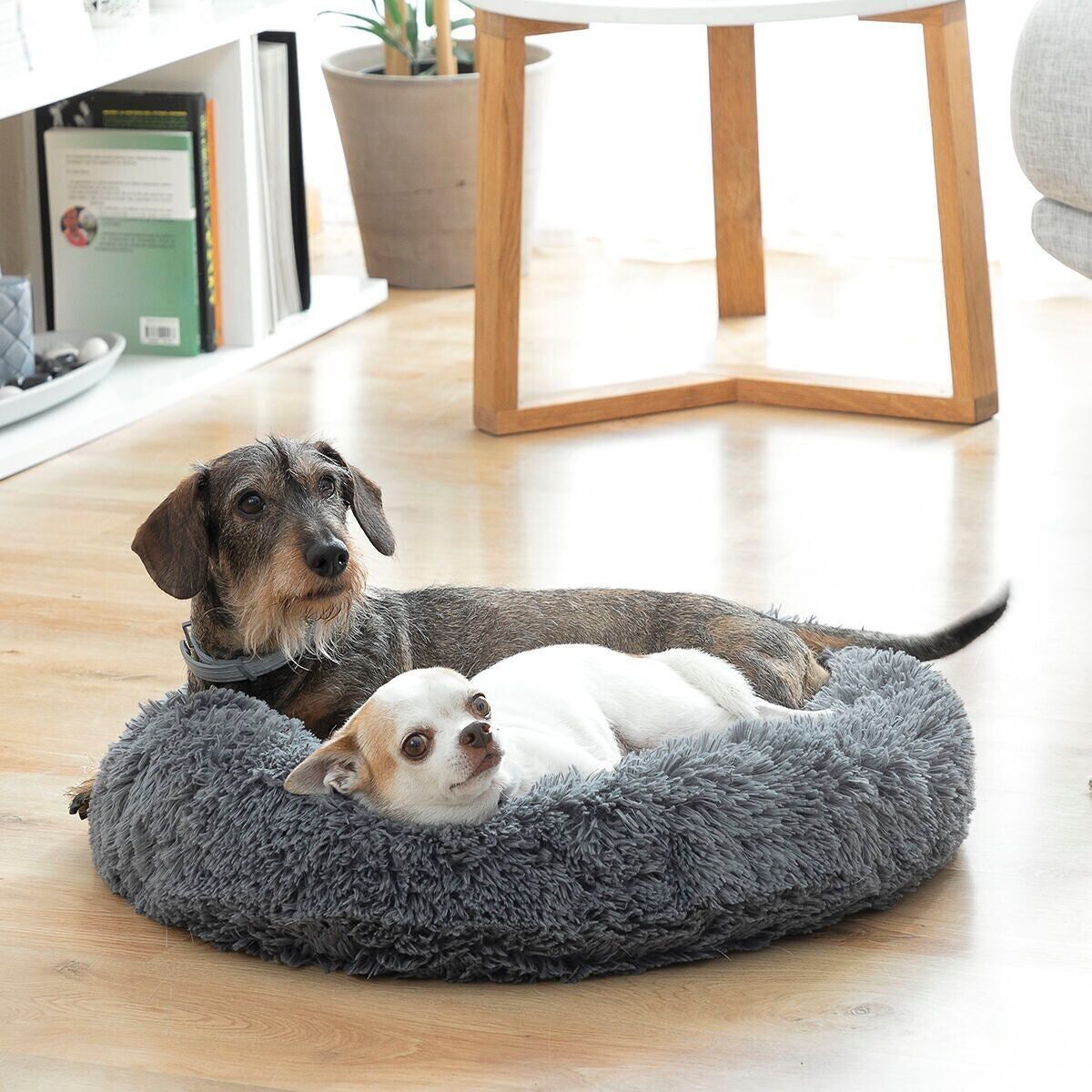 Fish Shaped Dog Bed with Dogs outlet on the Beach Fabric and Tan Head