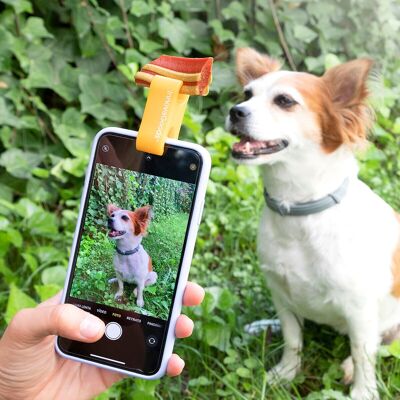 Pince à Selfie Pefie InnovaGoods pour Animaux de Compagnie