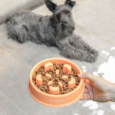 InnovaGoods SlowFi Slow Feeding Bowl for Pets