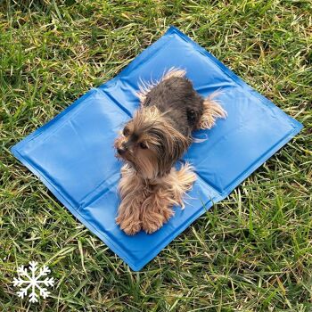 Colet InnovaGoods Tapis rafraîchissant pour animaux de compagnie 40 x 50 cm 8