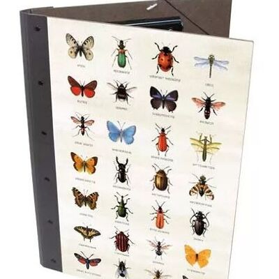 Clip folder - Nature Fun insects made of wood