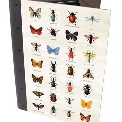 Clip folder - Nature Fun insects made of wood