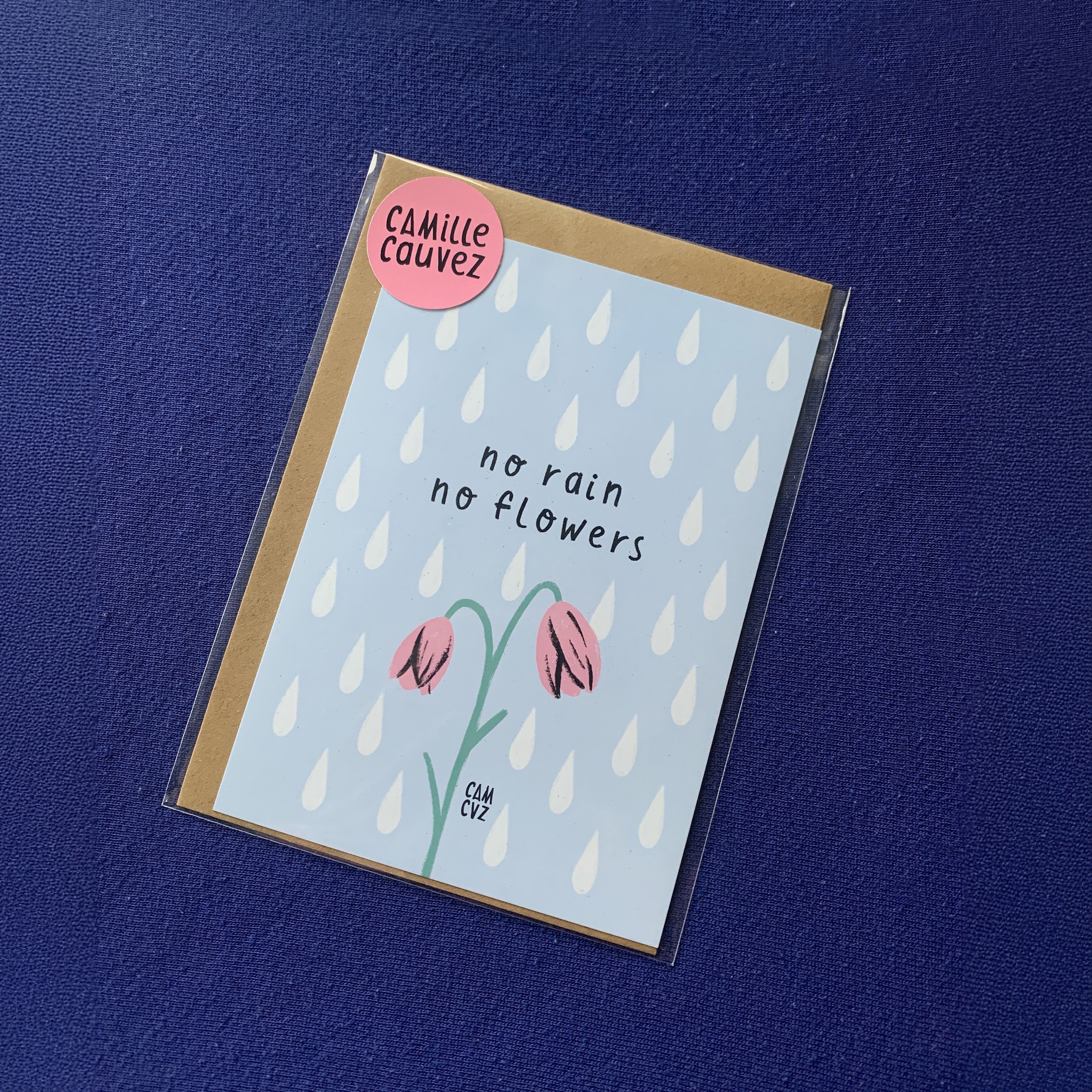 Kein Regen, keine Blumen | Postkarte, Blume, Regen, positives Zitat