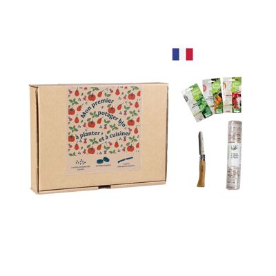 Coffret petit potager bio à planter et cuisiner