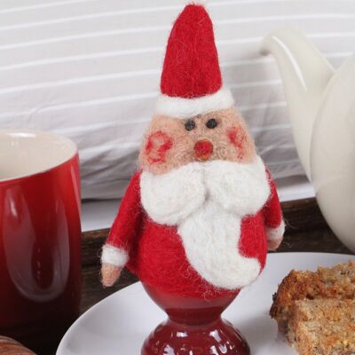 Santa Egg Cosy - One Colour